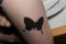 IMG_0229_Small.JPG