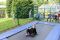 IMG_0290_Small.JPG