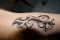 IMG_0234_Small.JPG