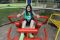 IMG_0321_Small.JPG
