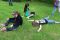 IMG_0249_Small.JPG