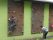EHL_Limbach-Oberfrohna_2013_016_Small.JPG