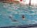 EHL_Limbach-Oberfrohna_2013_167_Small.JPG