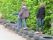 EHL_Limbach-Oberfrohna_2013_100_Small.JPG